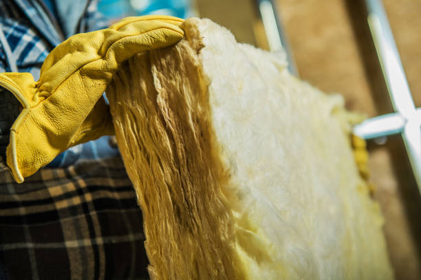 Best Insulation Maintenance and Repair in Winona, MN